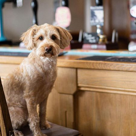 Masons Arms Amble Bed & Breakfast Ngoại thất bức ảnh