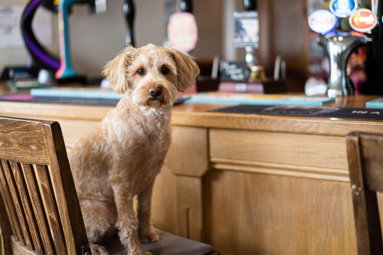 Masons Arms Amble Bed & Breakfast Ngoại thất bức ảnh
